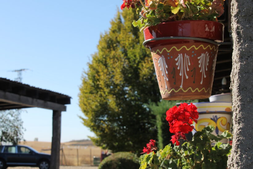 Lugar para celebrar eventos en León Finca Las Pallozas (1)