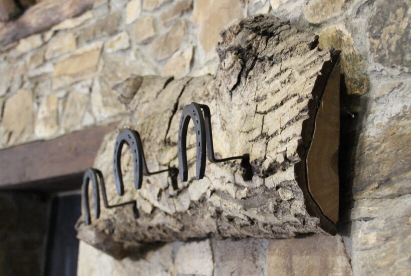 Lugar para celebrar eventos en León Finca Las Pallozas (1)