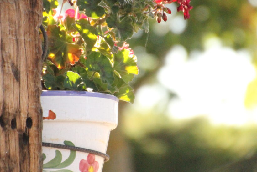 Lugar para celebrar eventos en León Finca Las Pallozas (1)