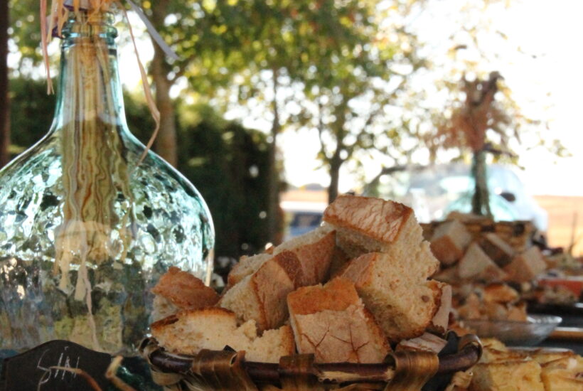 Lugar para celebrar eventos en León Finca Las Pallozas (1)