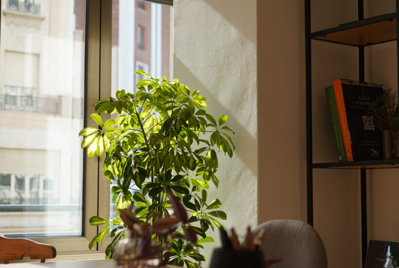 Sala Consentido para eventos y reuniones privadas en León