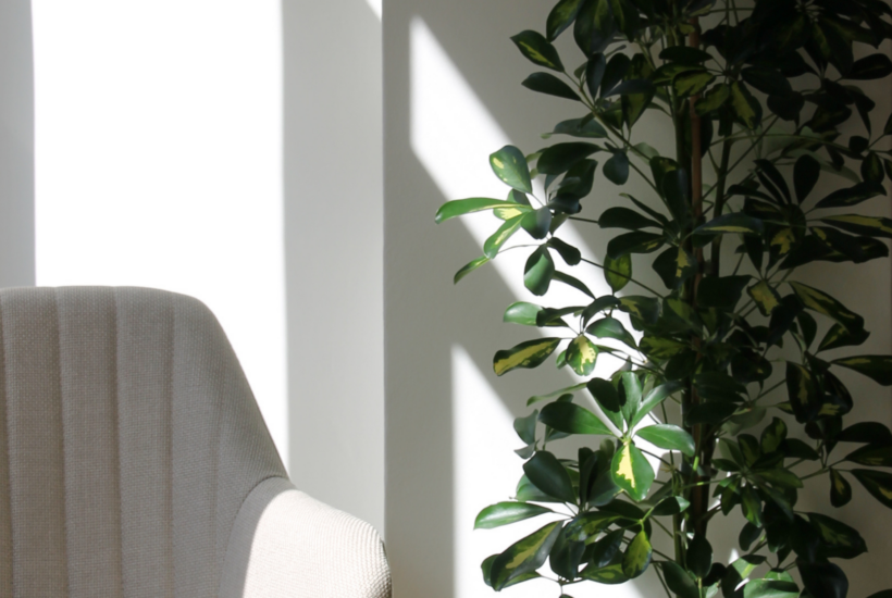 Sala Consentido para eventos y reuniones privadas en León