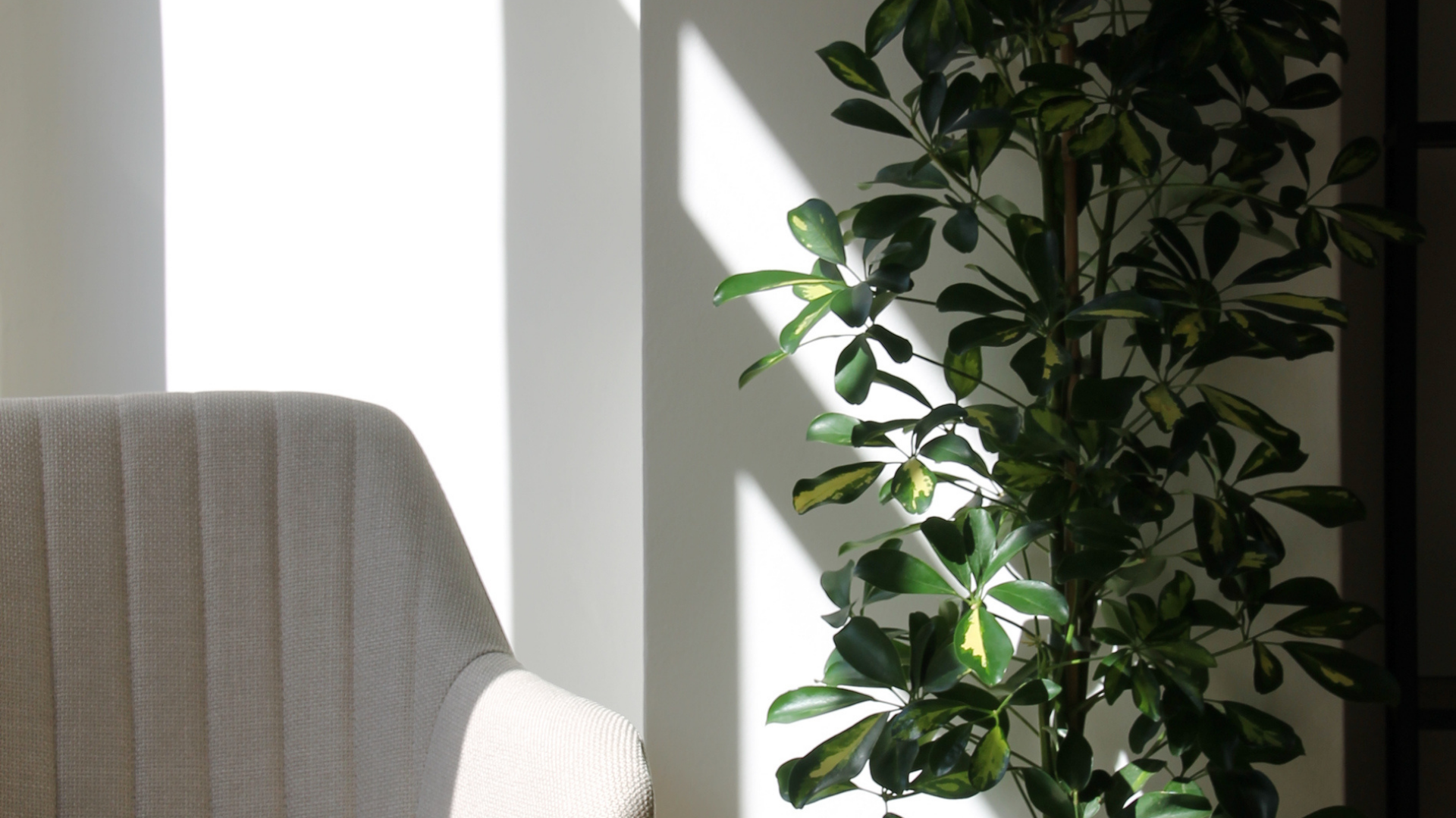 Sala Consentido para eventos y reuniones privadas en León